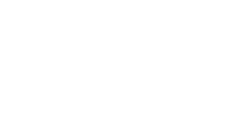 800 Jahre Barlachstadt Güstrow 1228 - 2028